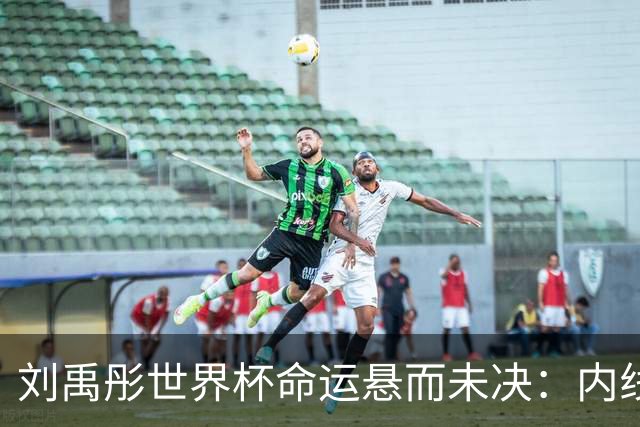 刘禹彤世界杯命运悬而未决：内线竞争白热化，功能互补成关键